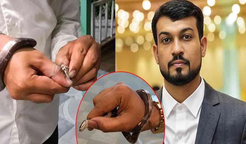 కట్లపాముతో పరాచకాలు..