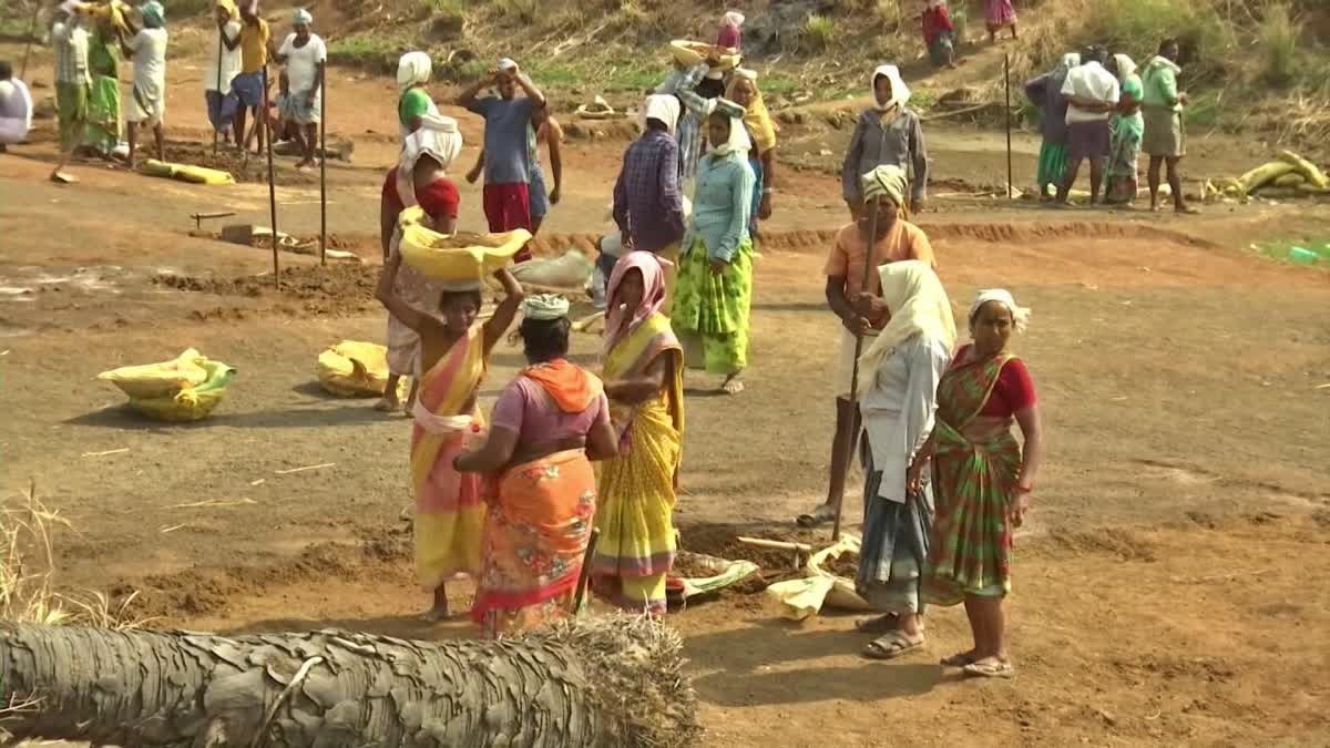 వచ్చే నెల నుంచి మళ్లీ 'ఉపాధి' పనులు - వర్షాభావ పరిస్థితుల దృష్ట్యా ప్రభుత్వ నిర్ణయం!